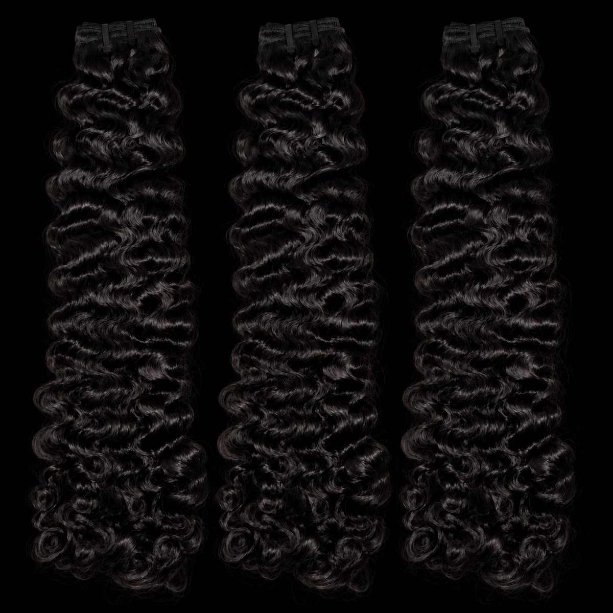 Burmese Curly 3 Bundle Deal