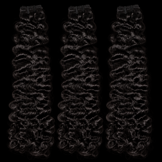 Burmese Curly 3 Bundle Deal