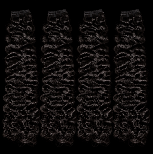 Burmese Curly 4 Bundle Deal