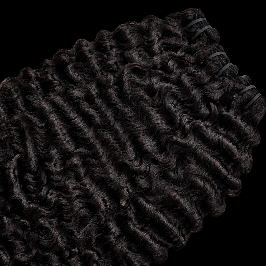 Burmese Curly 3 Bundle Deal